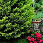 Hotel Bizim Ev (adults Only) 2*