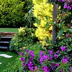 Hotel Bizim Ev (adults Only) Alaçatı