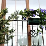 Bizim Ev (adults Only) 2*
