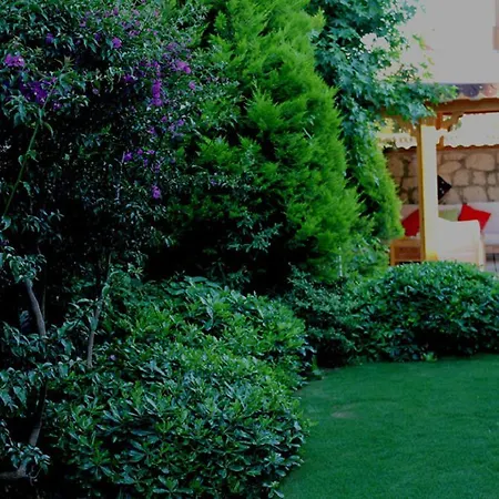 Ξενοδοχείο Bizim Ev Hotel (Adults Only) 2*