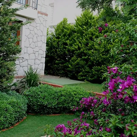 酒店 Bizim Ev (adults Only) 阿拉恰特