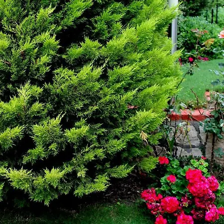 Ξενοδοχείο Bizim Ev Hotel (Adults Only) 2*