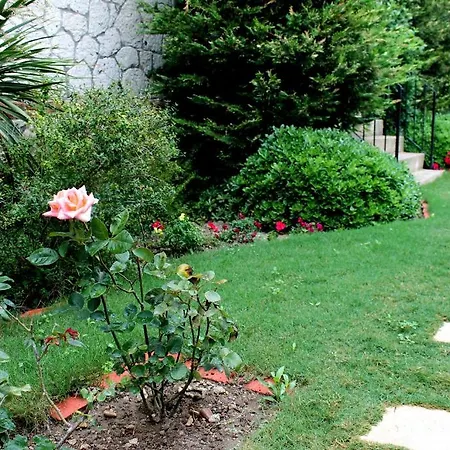 Bizim Ev (adults Only)