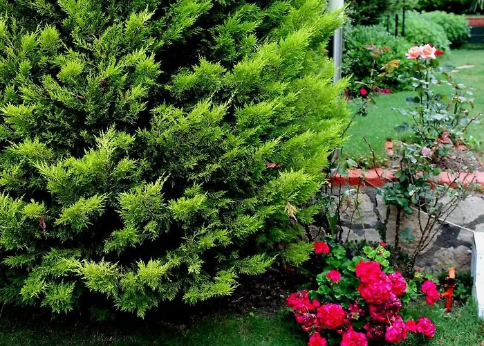 Hotel Bizim Ev (adults Only) 2*